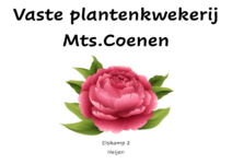 coenen